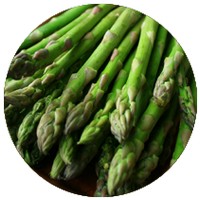 Asparagus Officinalis - Asperge