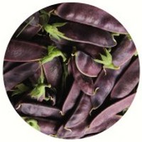 Mangetout - Pisum Sativum Macrocarpum