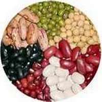 Cereales y Legumbres