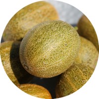 Pepino reticulado armenio - Pepino Neto