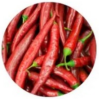 Tabasco Pepper - Capsicum Frutescens