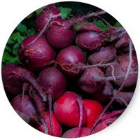 Remolacha: Beta Vulgaris