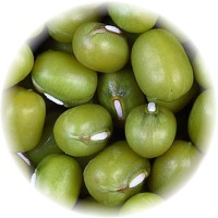 Vigna Radiata - Mung Bean